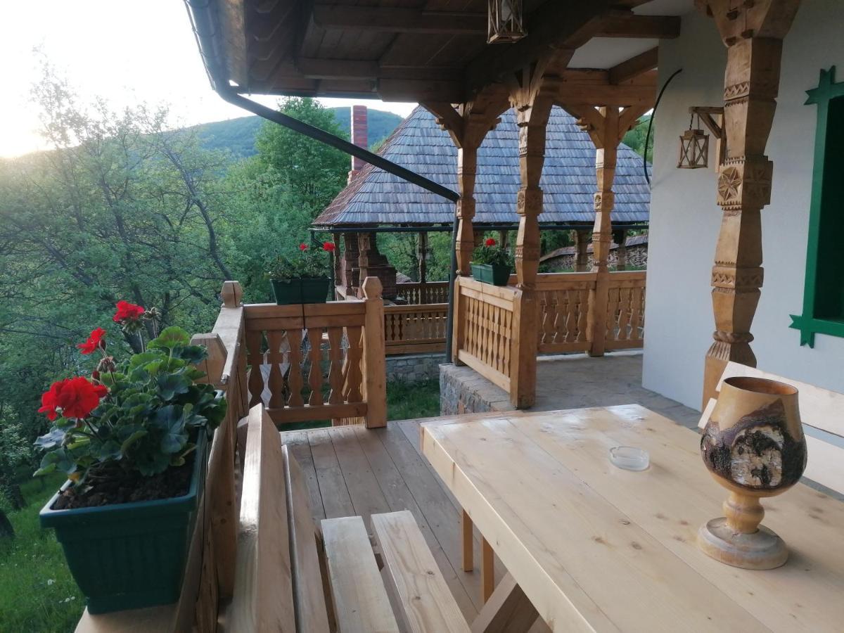 Pensiunea Casuta Din Deal Moisei Exterior foto