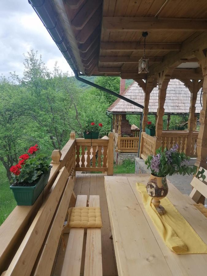 Pensiunea Casuta Din Deal Moisei Exterior foto